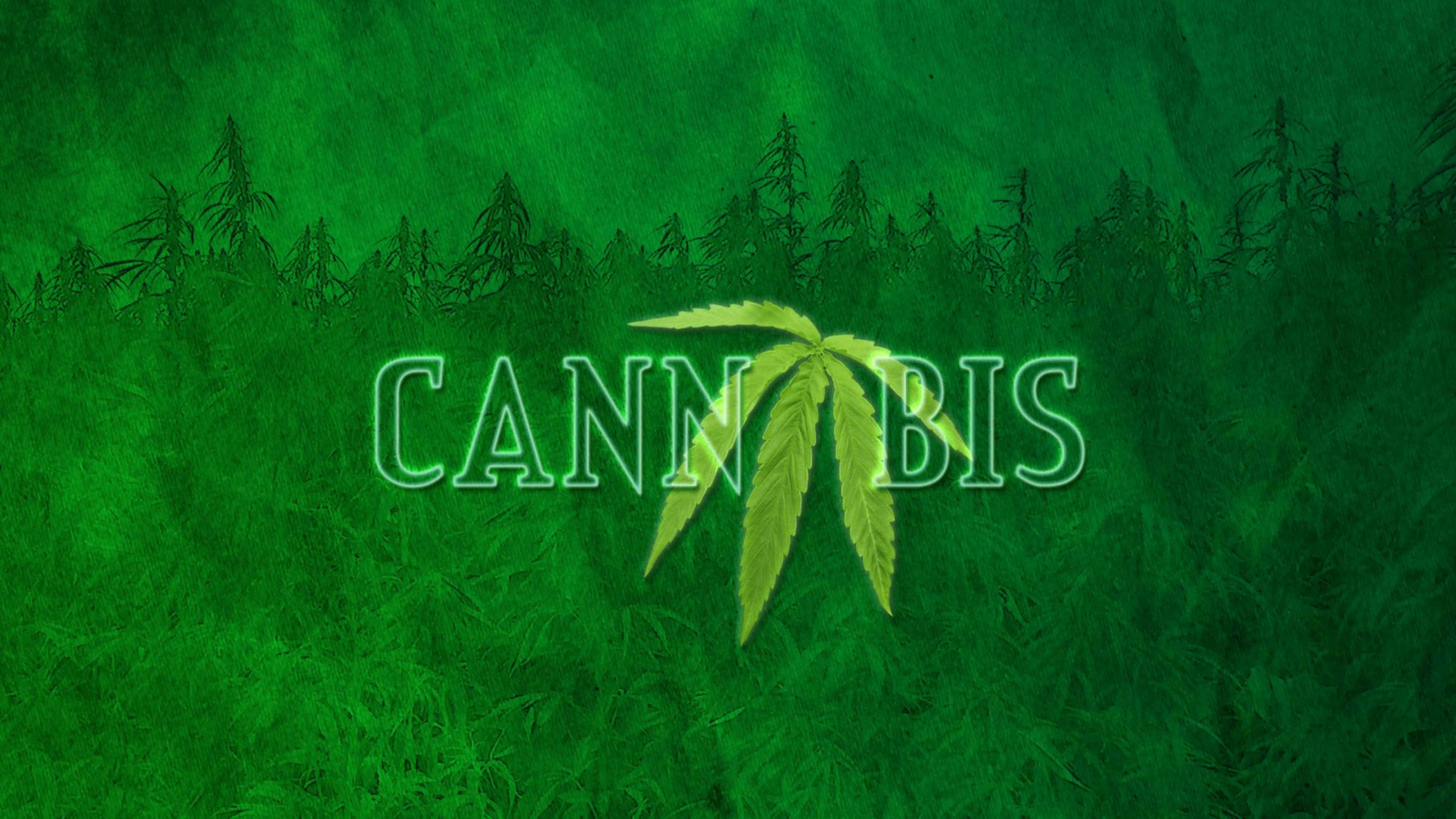 4K, cannabis leaf, text, 4K Desktop Wallpaper