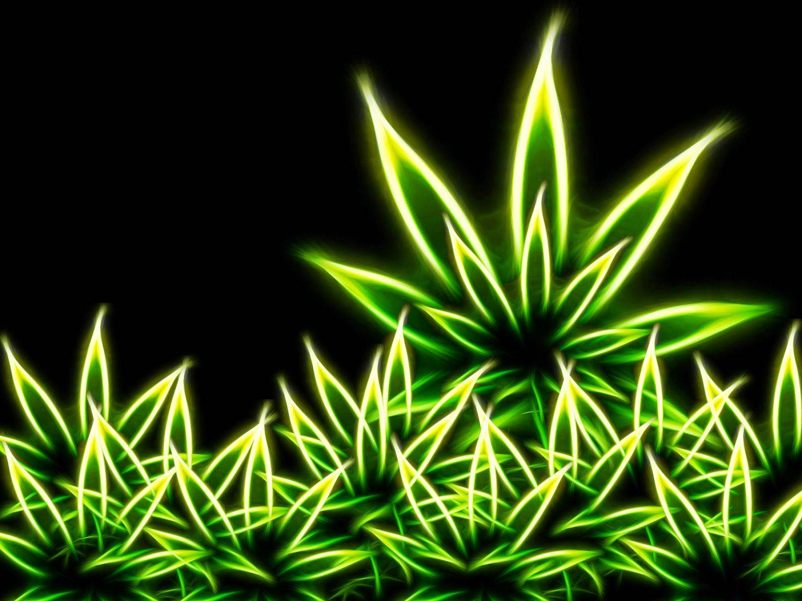 neon green, cannabis leaves, pitch black background, HD Desktop Wallpaper