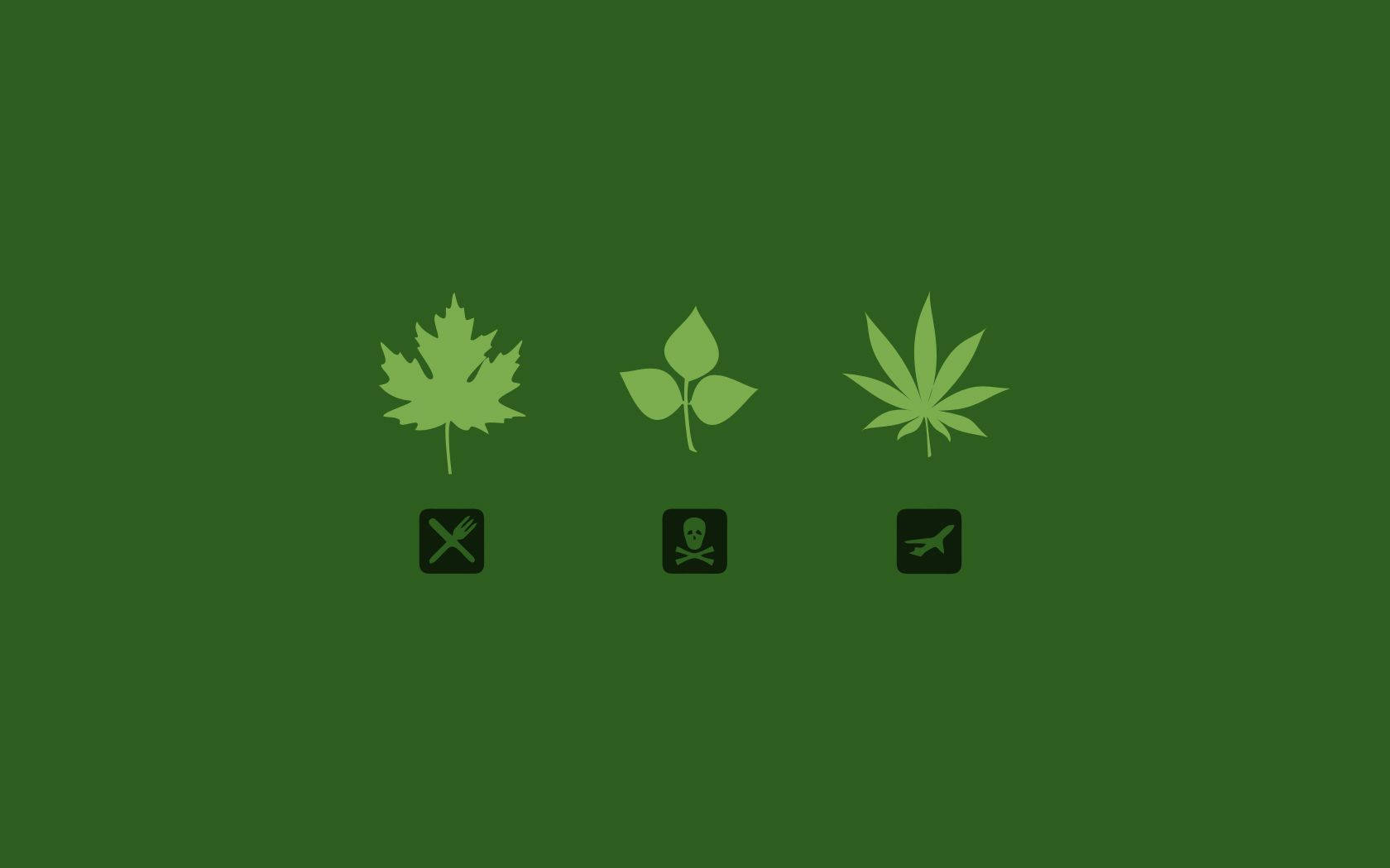 marijuana, vector artwork, green leaf icons, HD Desktop Wallpaper