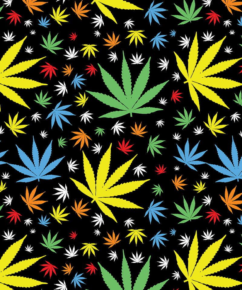 marijuana leaves, joint pattern, black background, SD Phone Wallpaper