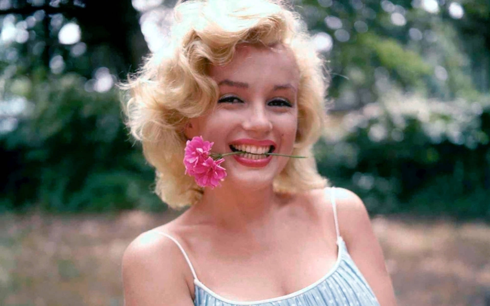 Marilyn Monroe, pink carnation, soft blurred green background, Full HD Desktop Wallpaper