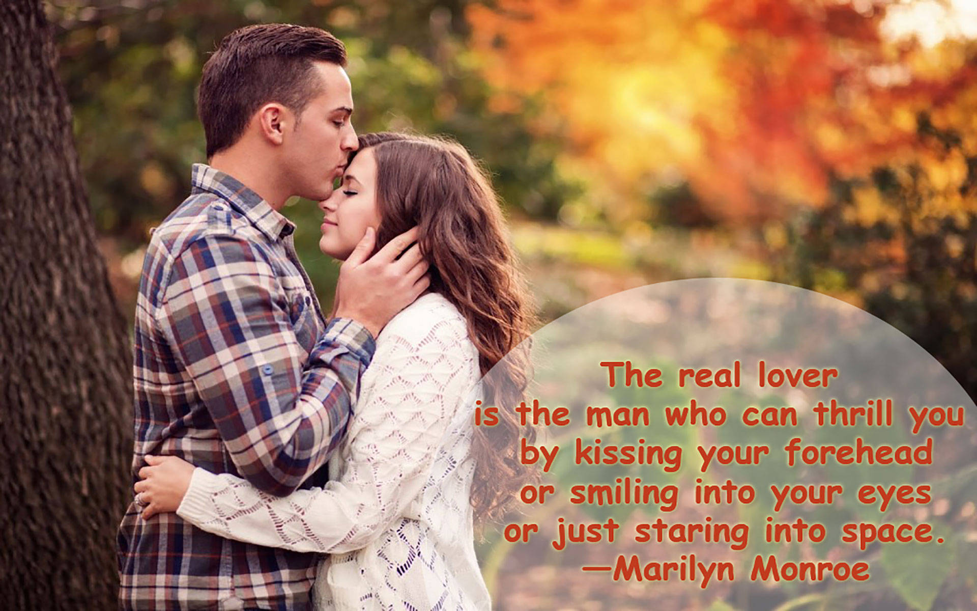 Marilyn Monroe, true love, sunlit autumn forest, Full HD Desktop Wallpaper