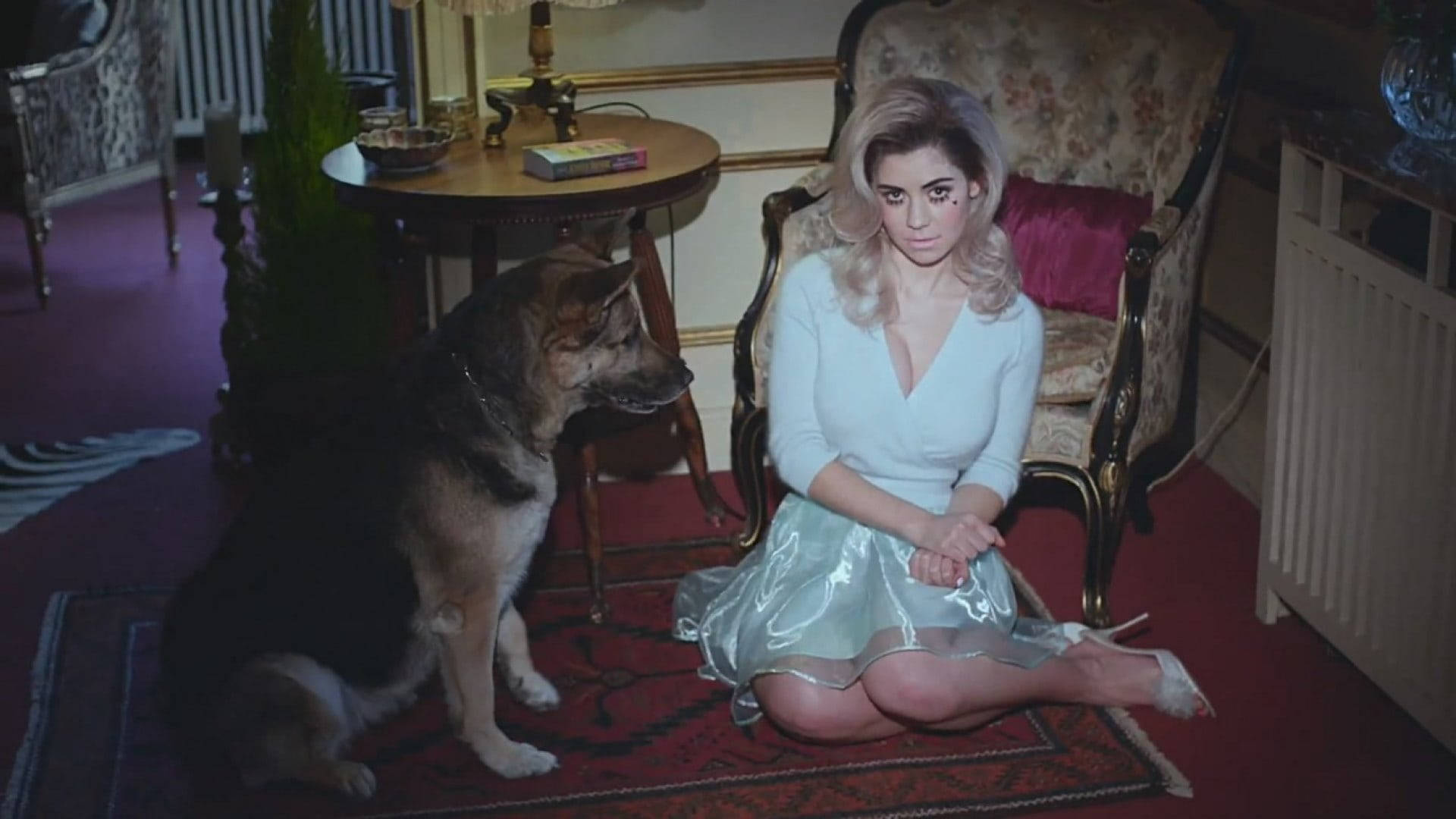 Marina and the diamonds, shiny silver dress, large dog, Full HD Desktop Wallpaper