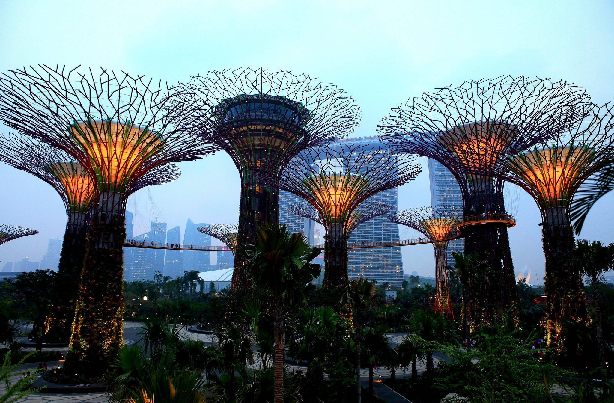 Marina Bay Sands, illuminated tree-like structures, twilight sky, Full HD Desktop Wallpaper