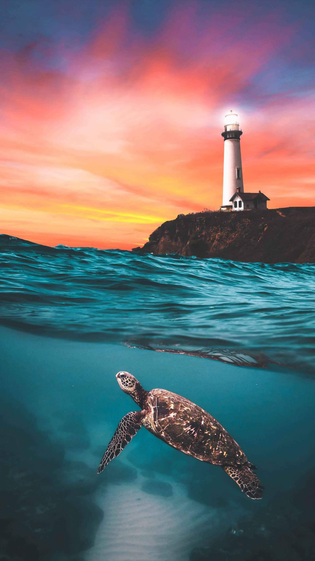 sea turtle, vibrant sunset sky, lighthouse, Full HD Phone Wallpaper