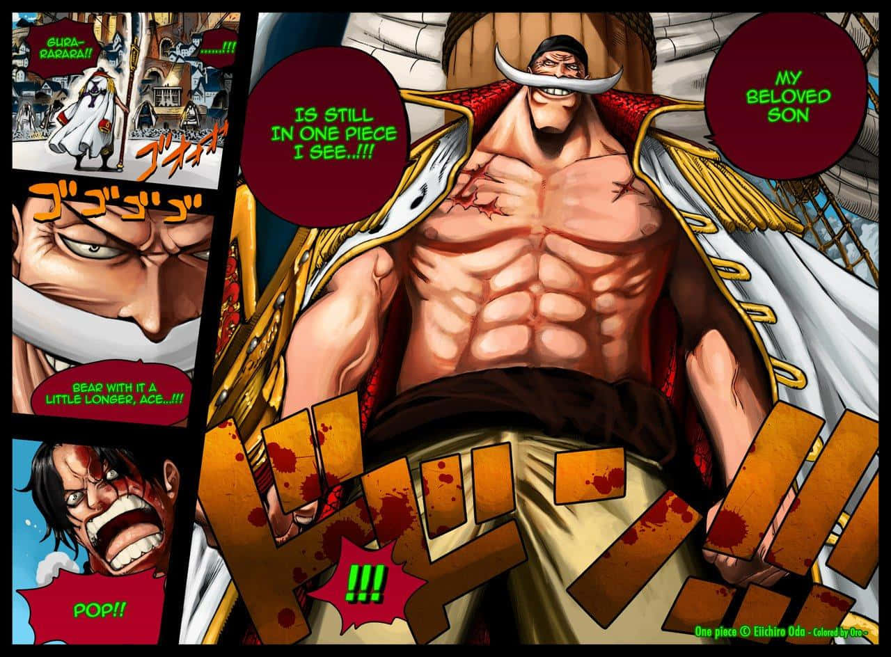 Marineford War, anime pirate, white mustache, HD Desktop Wallpaper