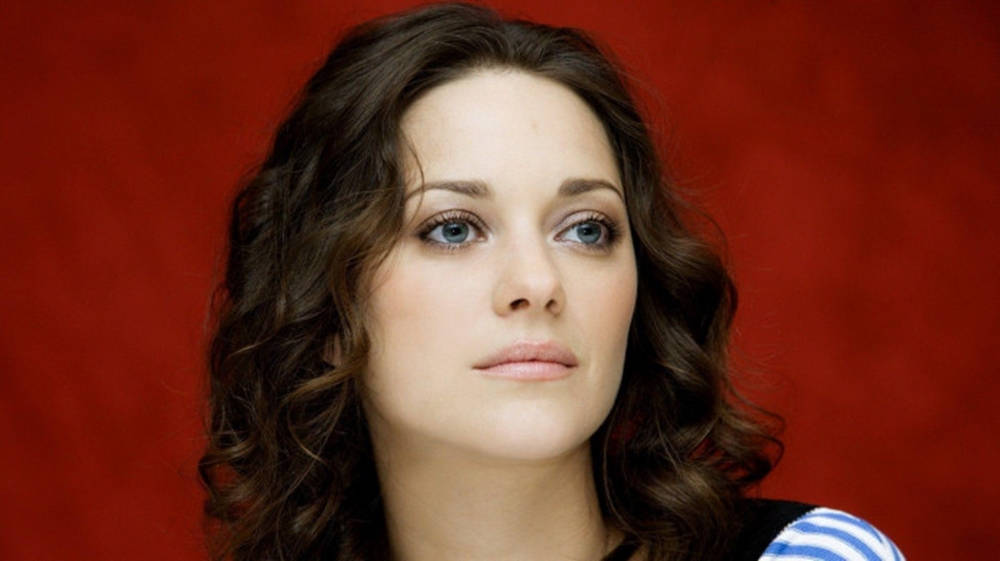 Marion Cotillard, wavy brown hair, blue eyes, SD Desktop Wallpaper