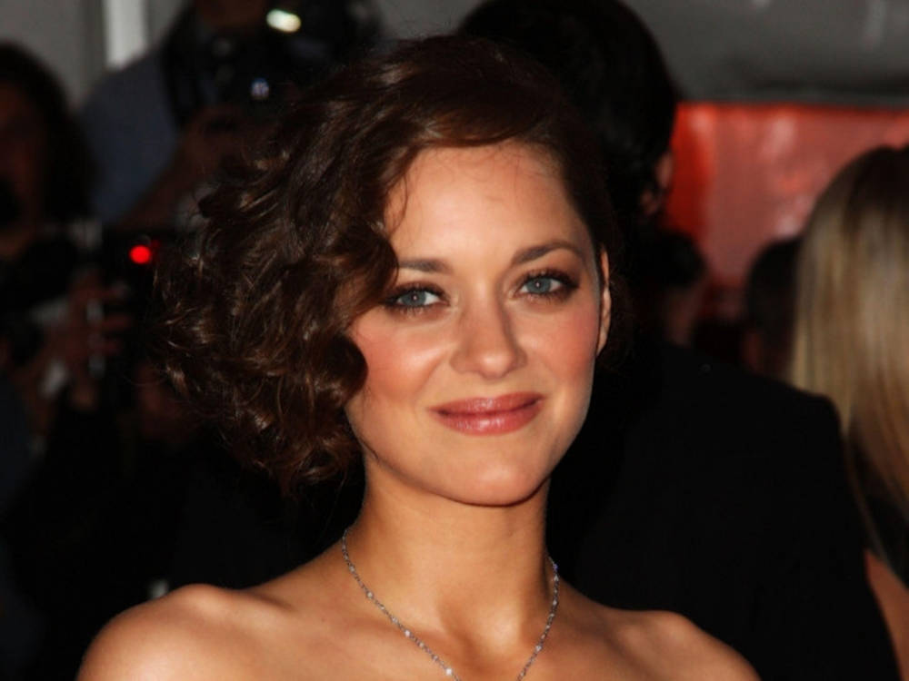 Marion Cotillard, short curly hair, blue eyes, SD Desktop Wallpaper