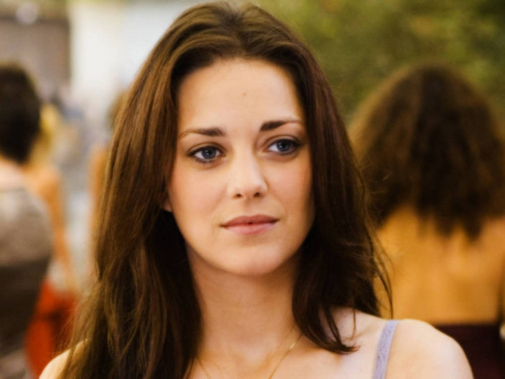 Marion Cotillard, brown hair, blue eyes, SD Desktop Wallpaper