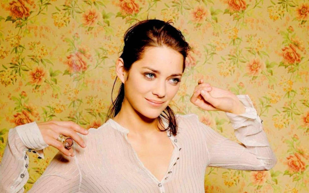 Marion Cotillard, white ribbed top, vintage floral wallpaper, SD Desktop Wallpaper