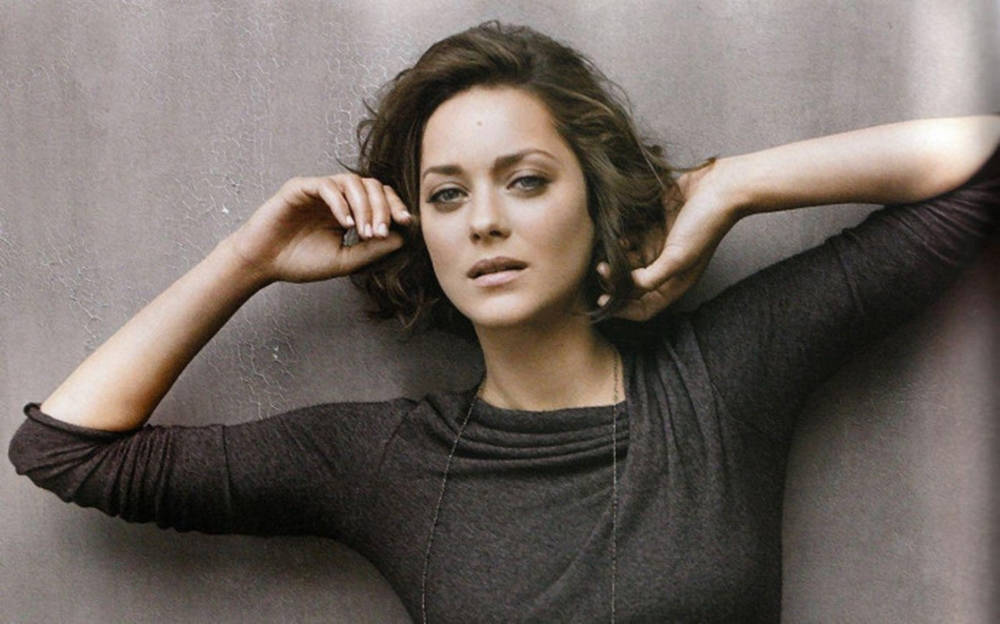 Marion Cotillard, wavy brown hair, textured gray wall, SD Desktop Wallpaper