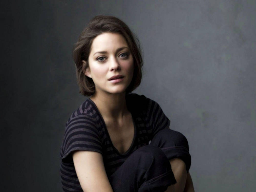 Marion Cotillard, short brown hair, dark striped shirt, SD Desktop Wallpaper