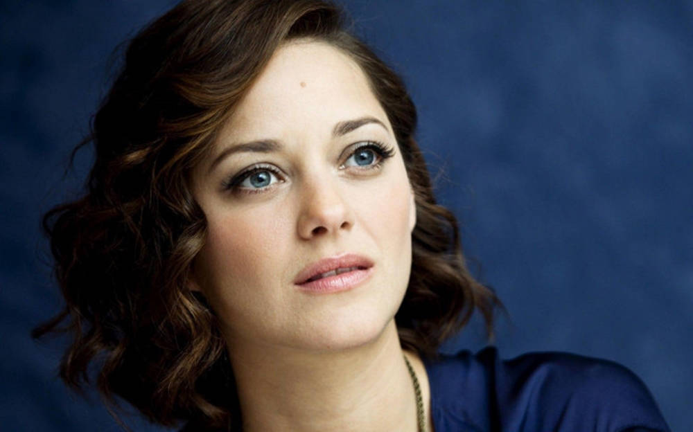 Marion Cotillard, blue eyes, wavy brown hair, SD Desktop Wallpaper