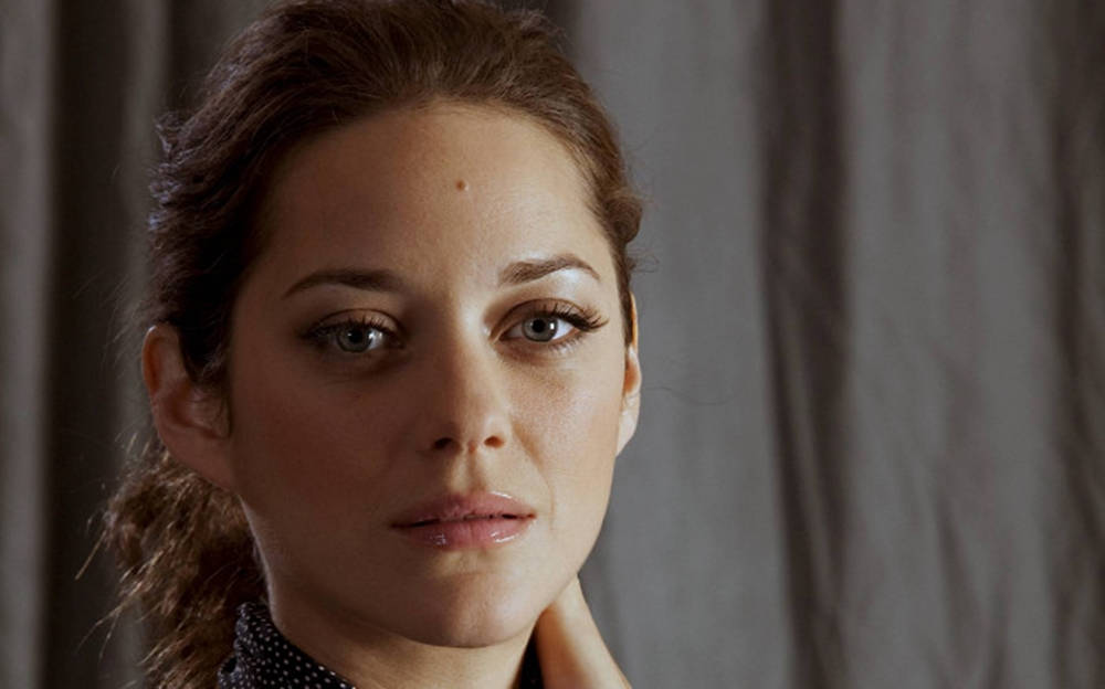 Marion Cotillard, brown hair, intense blue eyes, SD Desktop Wallpaper
