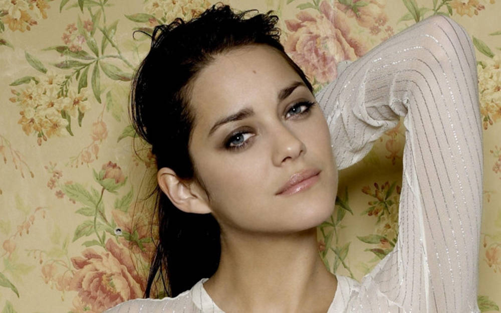 Marion Cotillard, dark hair, blue eyes, SD Desktop Wallpaper
