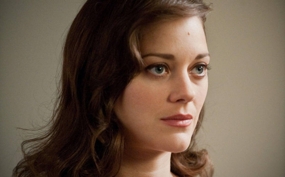 Marion Cotillard, brunette hair, green eyes, SD Desktop Wallpaper