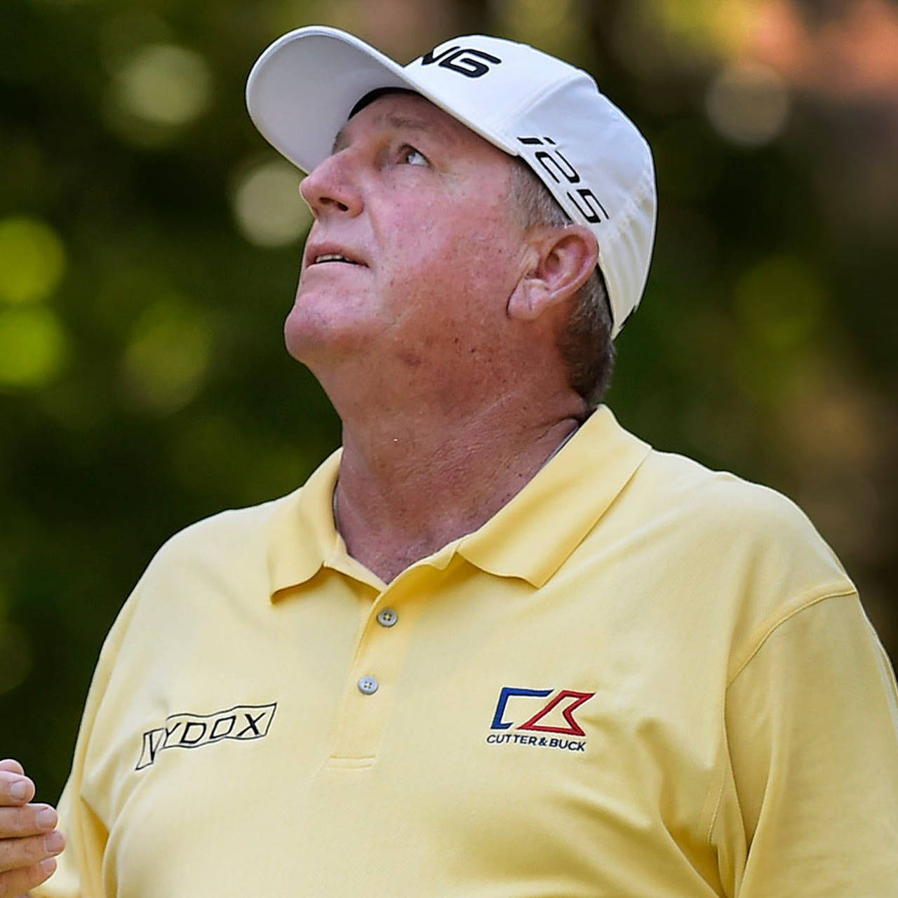Mark Calcavecchia, yellow polo, white cap, HD Desktop Wallpaper