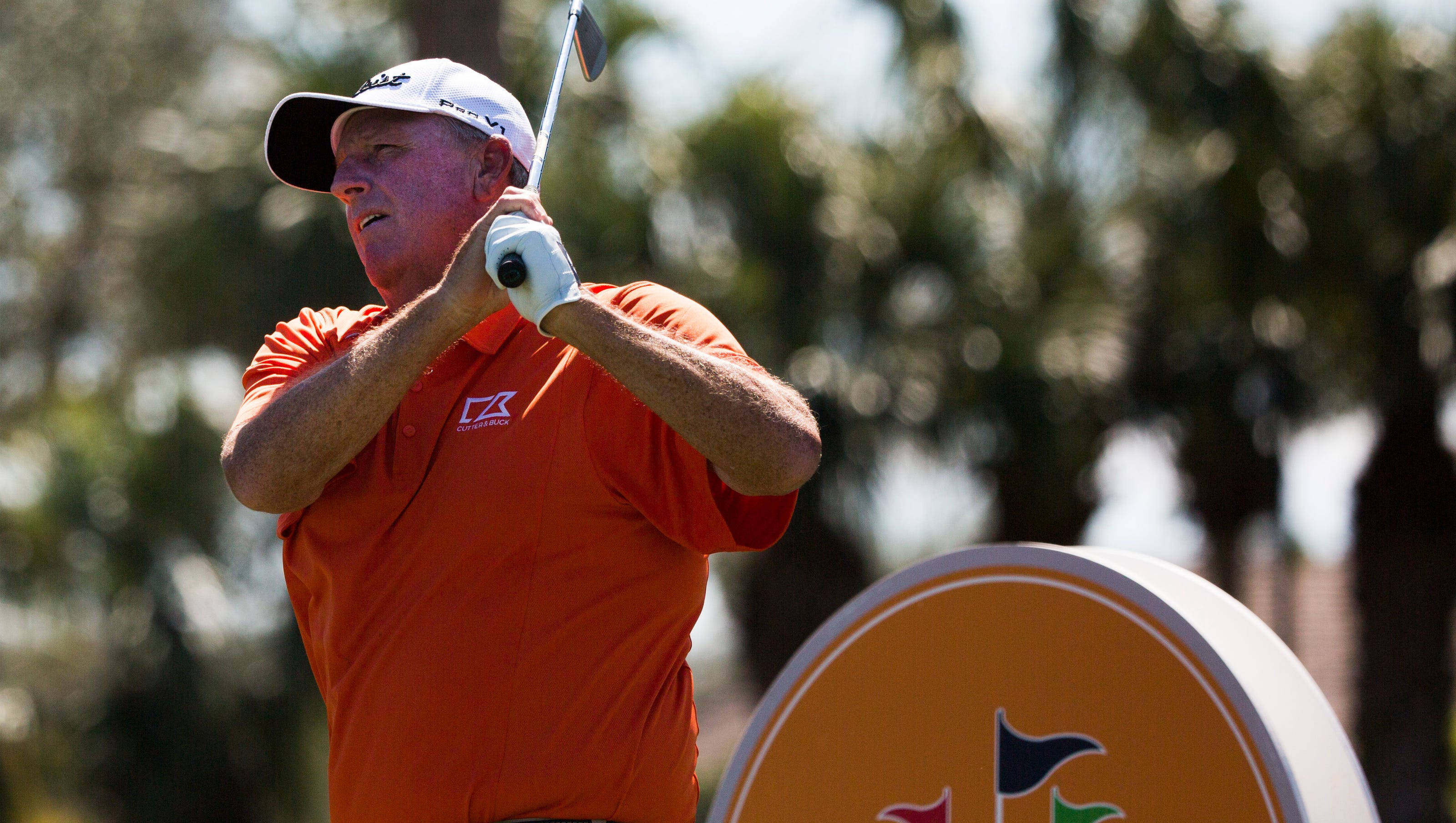 Mark Calcavecchia, orange shirt, palm trees, 2K Desktop Wallpaper