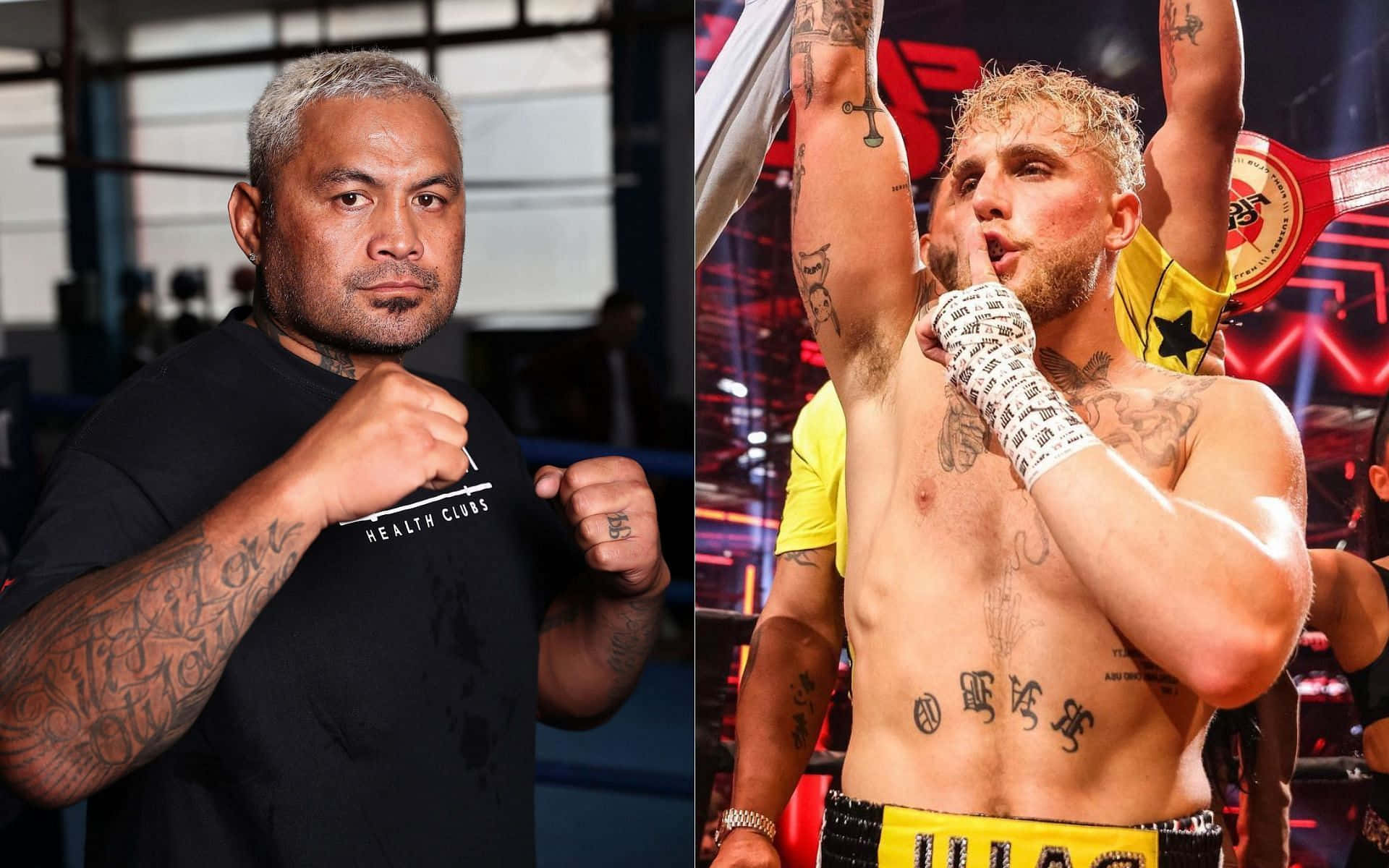 Mark Hunt, kick boxing champ, ring, Full HD Desktop Wallpaper