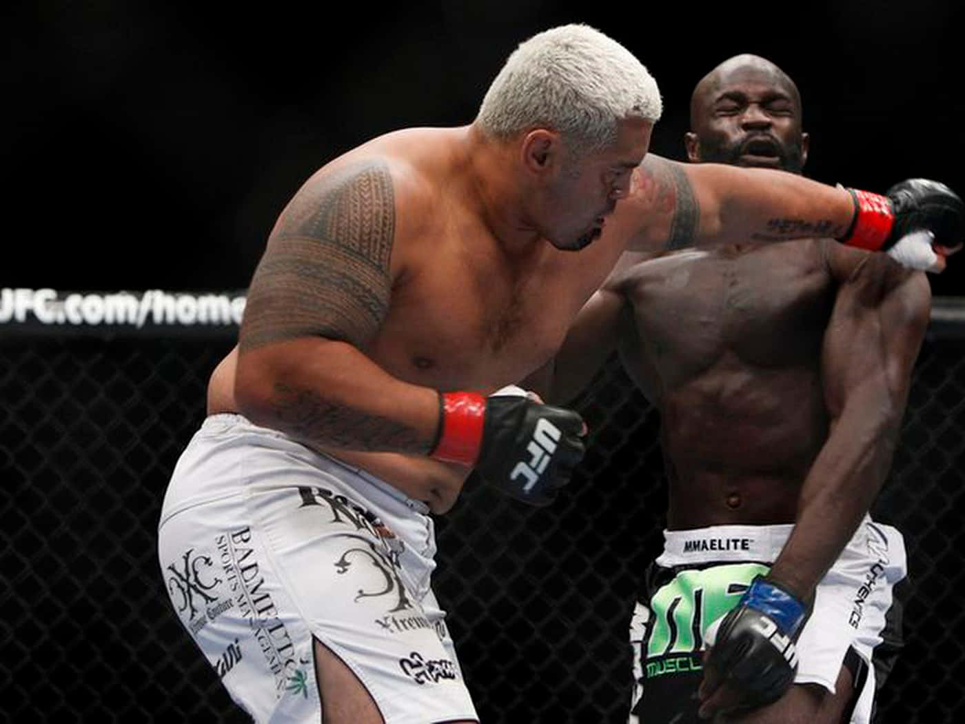 Mark Hunt, upper cut punch, MMA fighters, HD Desktop Wallpaper