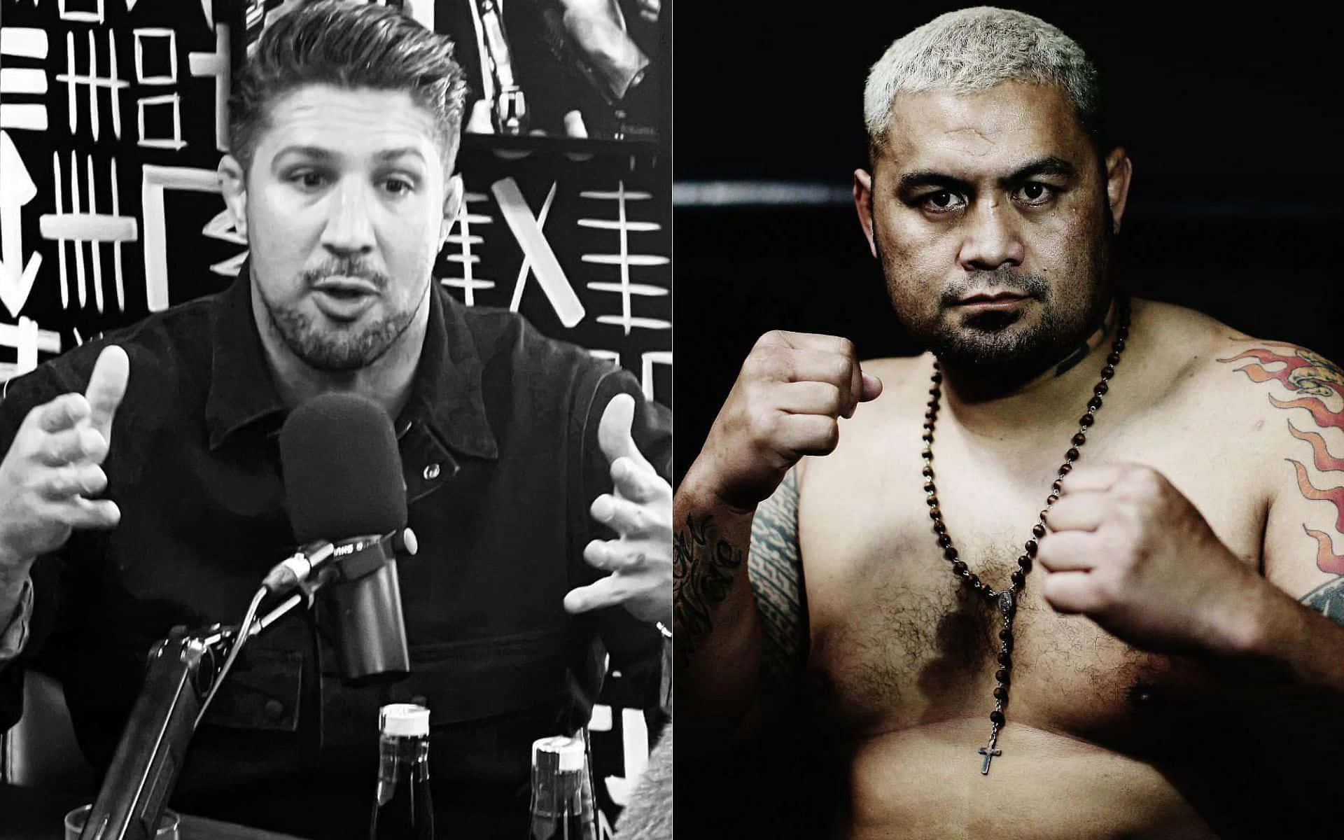 Mark Hunt, microphone, fighting stance, Full HD Desktop Wallpaper