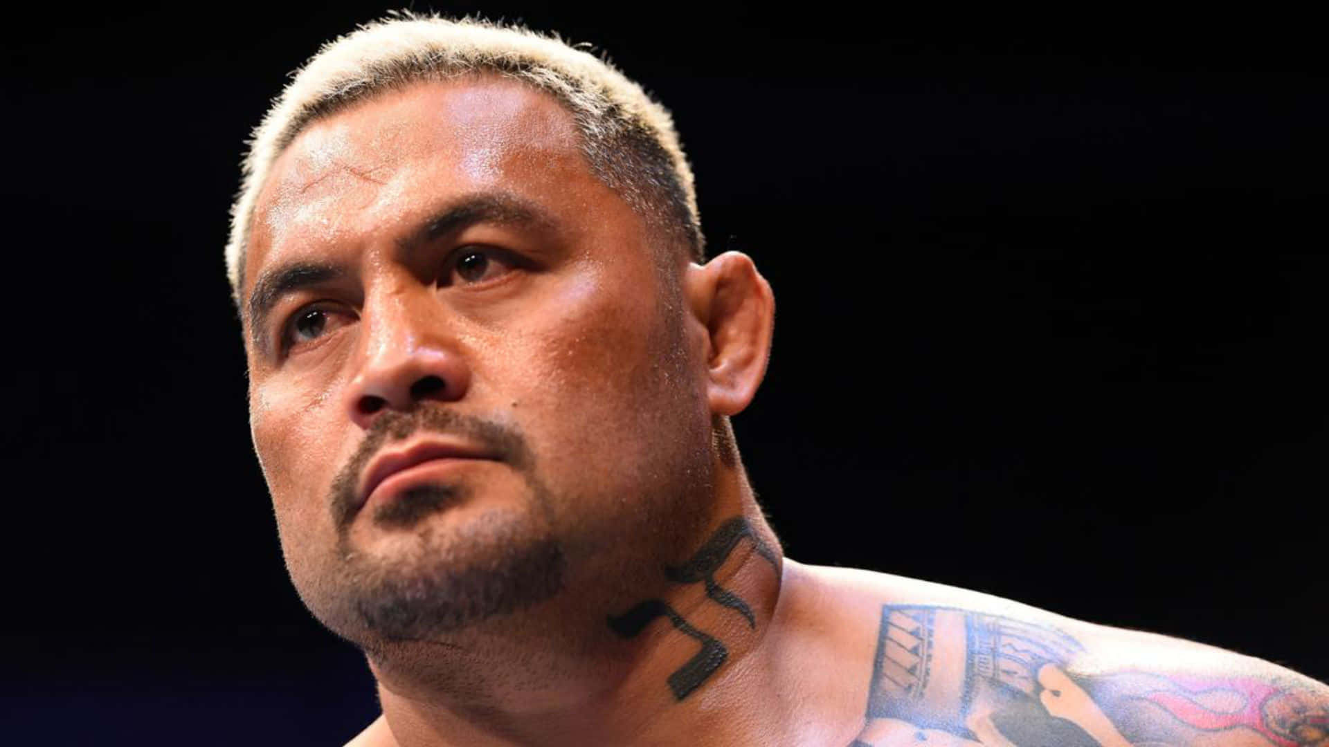 Mark Hunt, tattooed fighter, short blond hair, Full HD Desktop Wallpaper