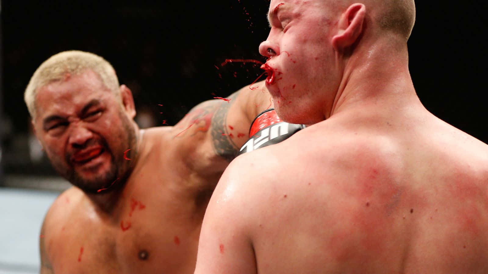 Mark Hunt, bloody hand punch, MMA match, HD Desktop Wallpaper