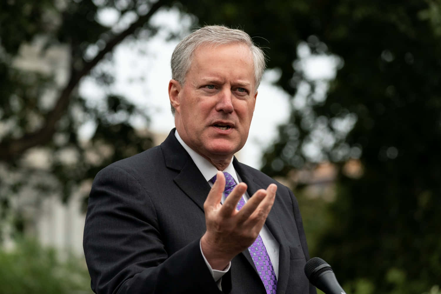 Mark Meadows, dark suit, purple tie, HD Desktop Wallpaper