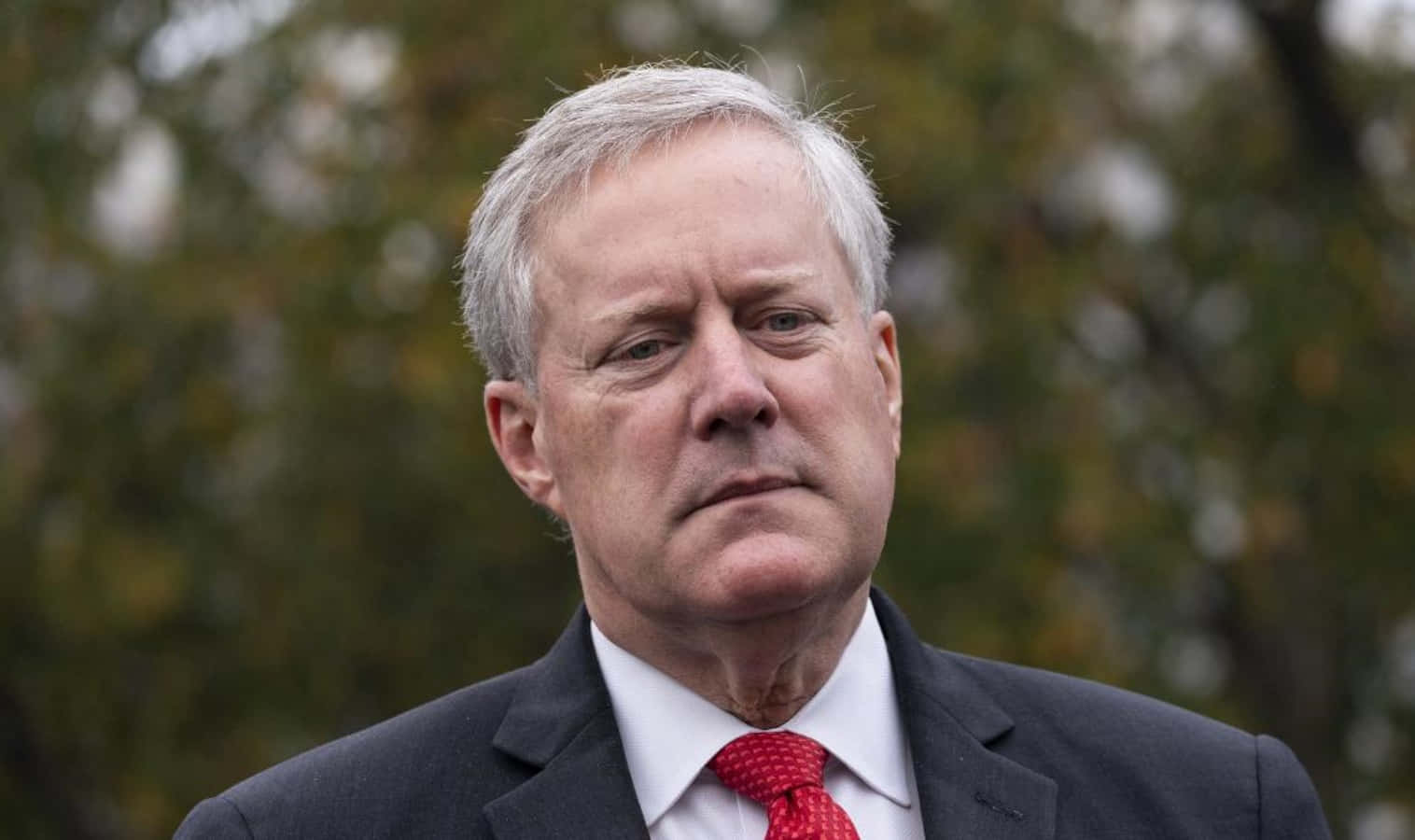Mark Meadows, autumnal tree background, dark suit, HD Desktop Wallpaper