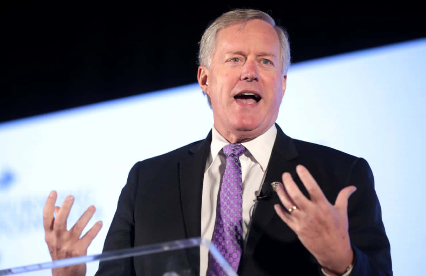 Mark Meadows, dark suit, purple tie, HD Desktop Wallpaper