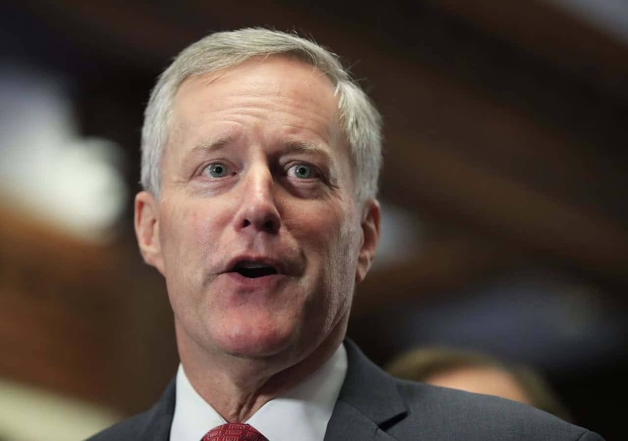 Mark Meadows, gray hair, blue eyes, HD Desktop Wallpaper