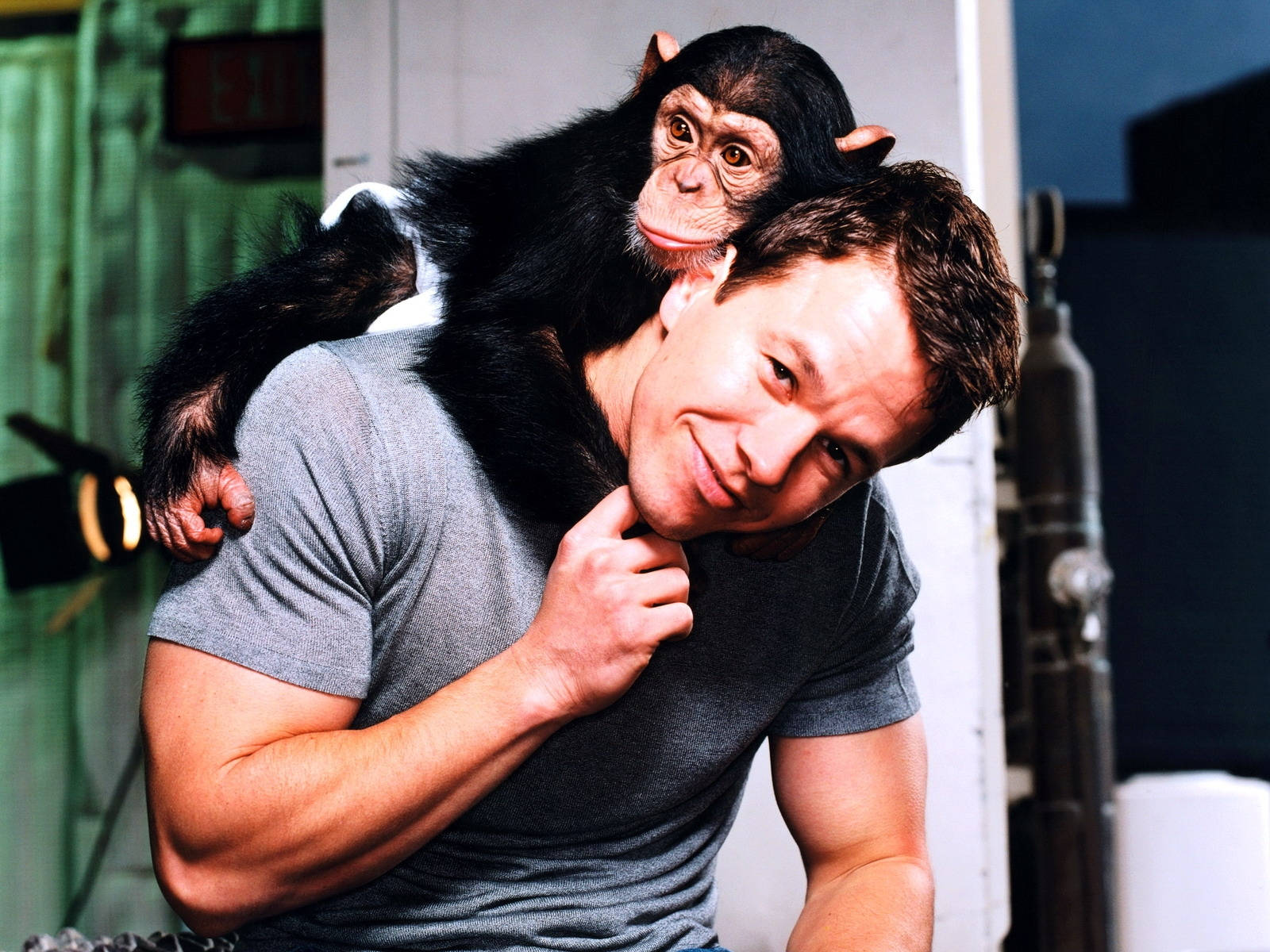 Mark Wahlberg, chimpanzee, gray t-shirt, HD Desktop Wallpaper