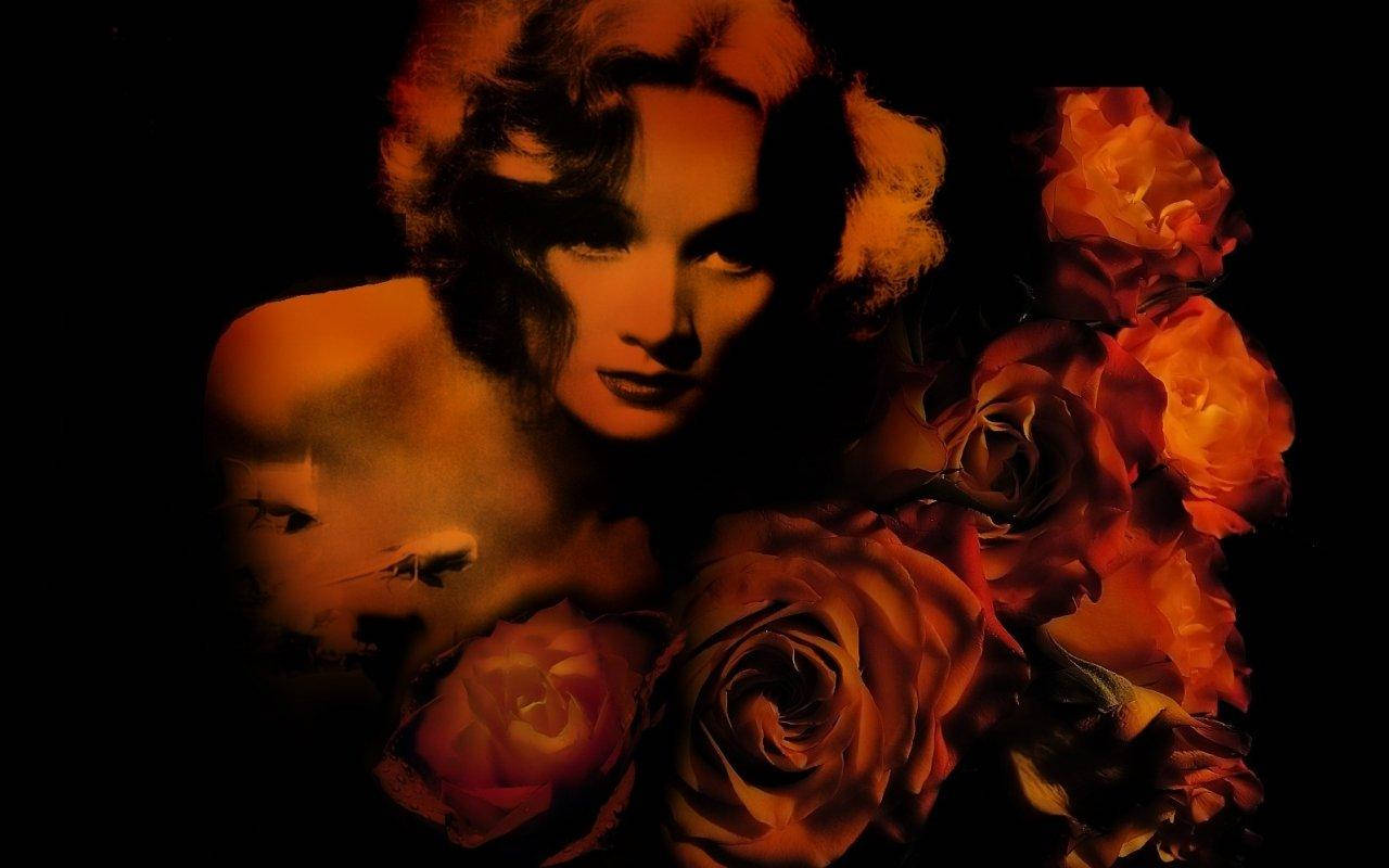 Marlene Dietrich, orange roses, curly hair, HD Desktop Wallpaper
