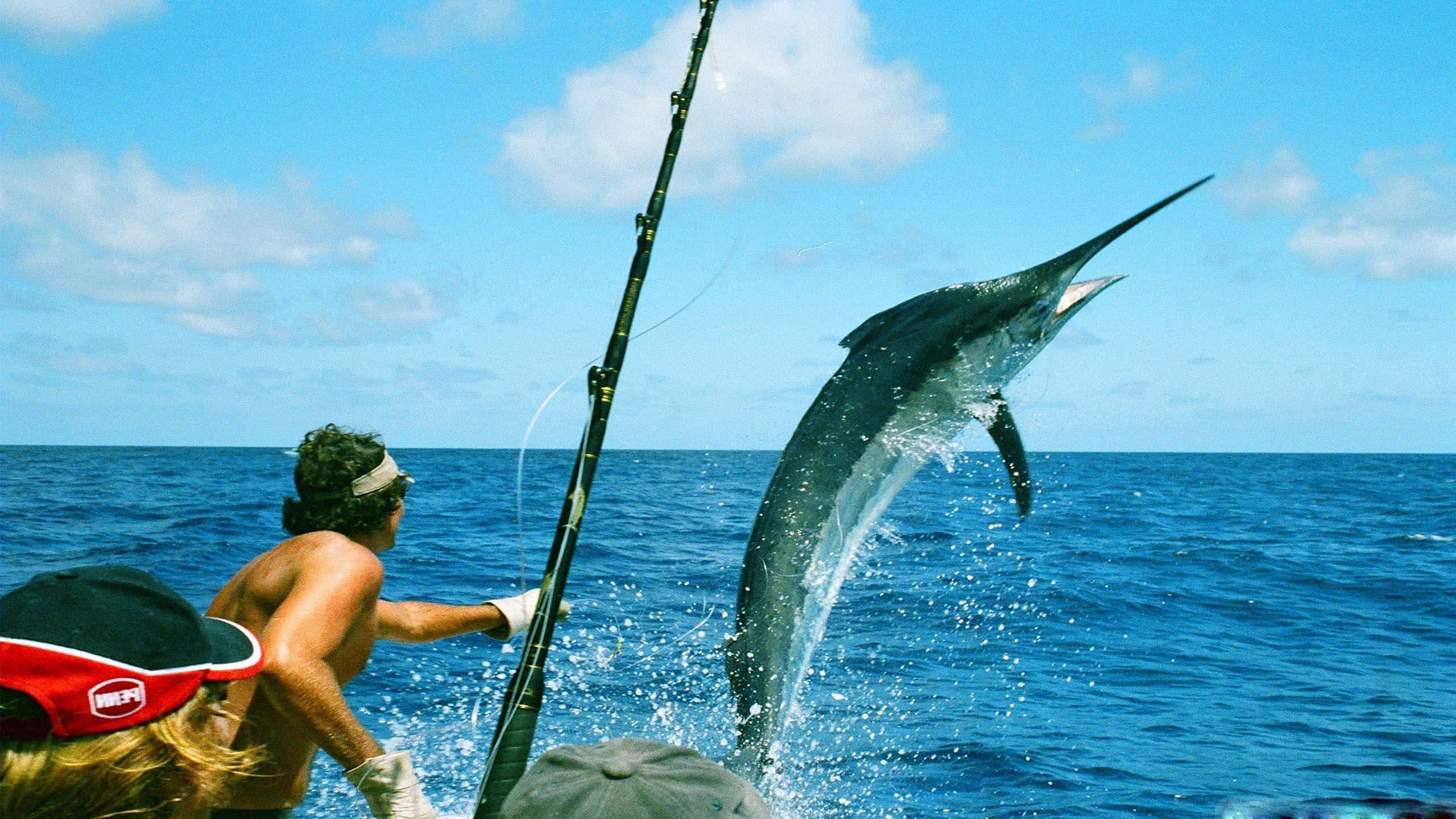 Marlin, leaping, deep blue ocean water, 2K Desktop Wallpaper