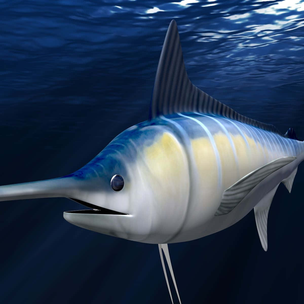 blue marlin, ocean, sunlight, SD Desktop Wallpaper
