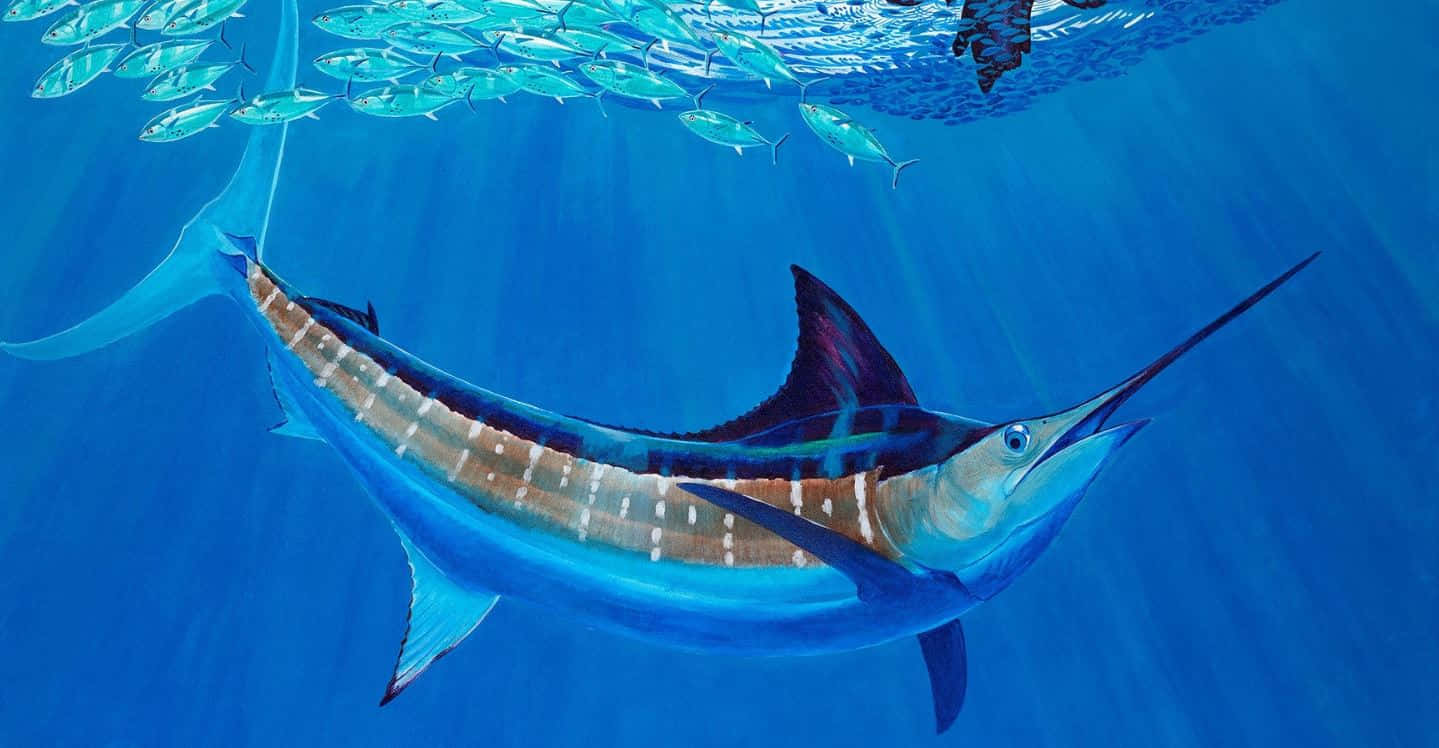 Blue Marlin, vibrant blue ocean waters, school of tuna, HD Desktop Wallpaper