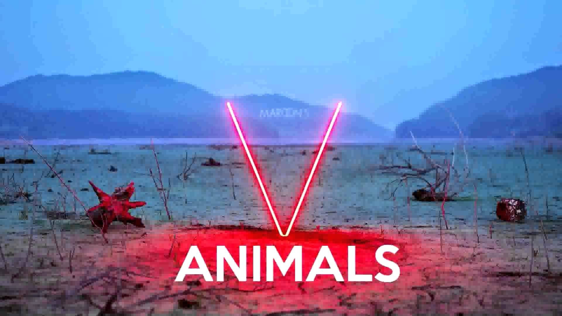 Maroon 5, Animals, dusk, Full HD Desktop Wallpaper