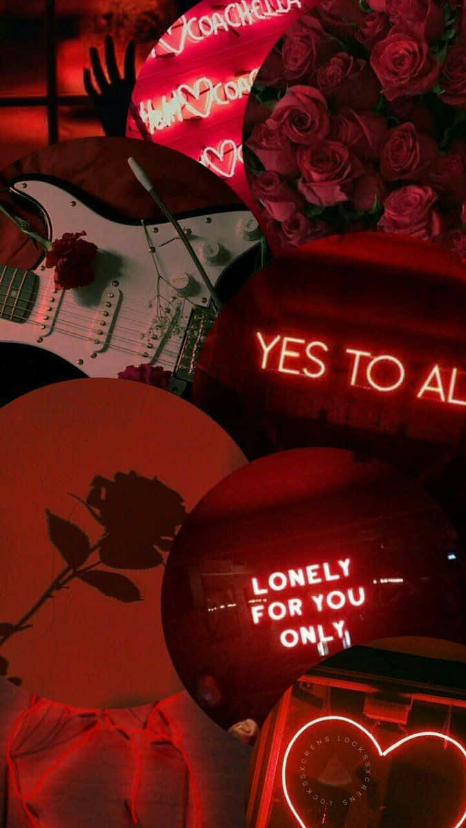 maroon, roses, neon signs, SD Phone Wallpaper