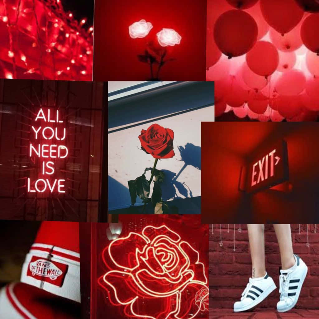 maroon aesthetic, neon signs, roses, SD Desktop Wallpaper