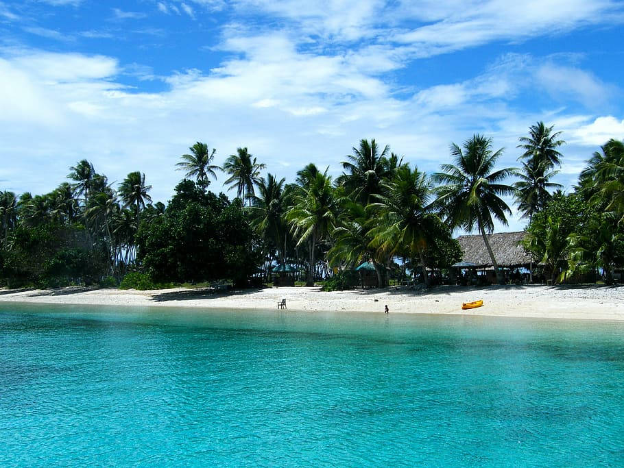 Marshall Islands, palm trees, turquoise waters, SD Desktop Wallpaper