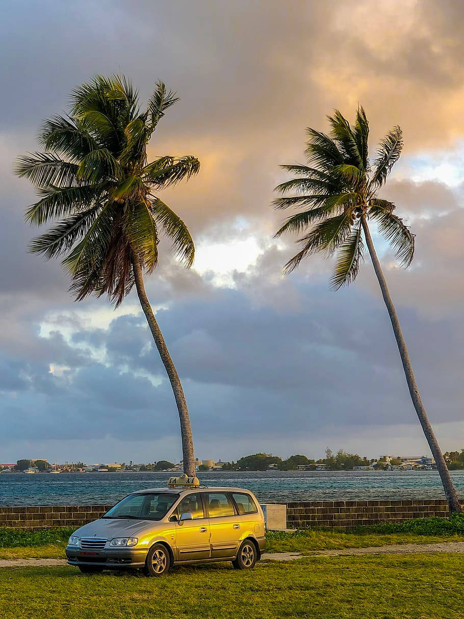 silver minivan, grass, leaning palm trees, SD Phone Wallpaper