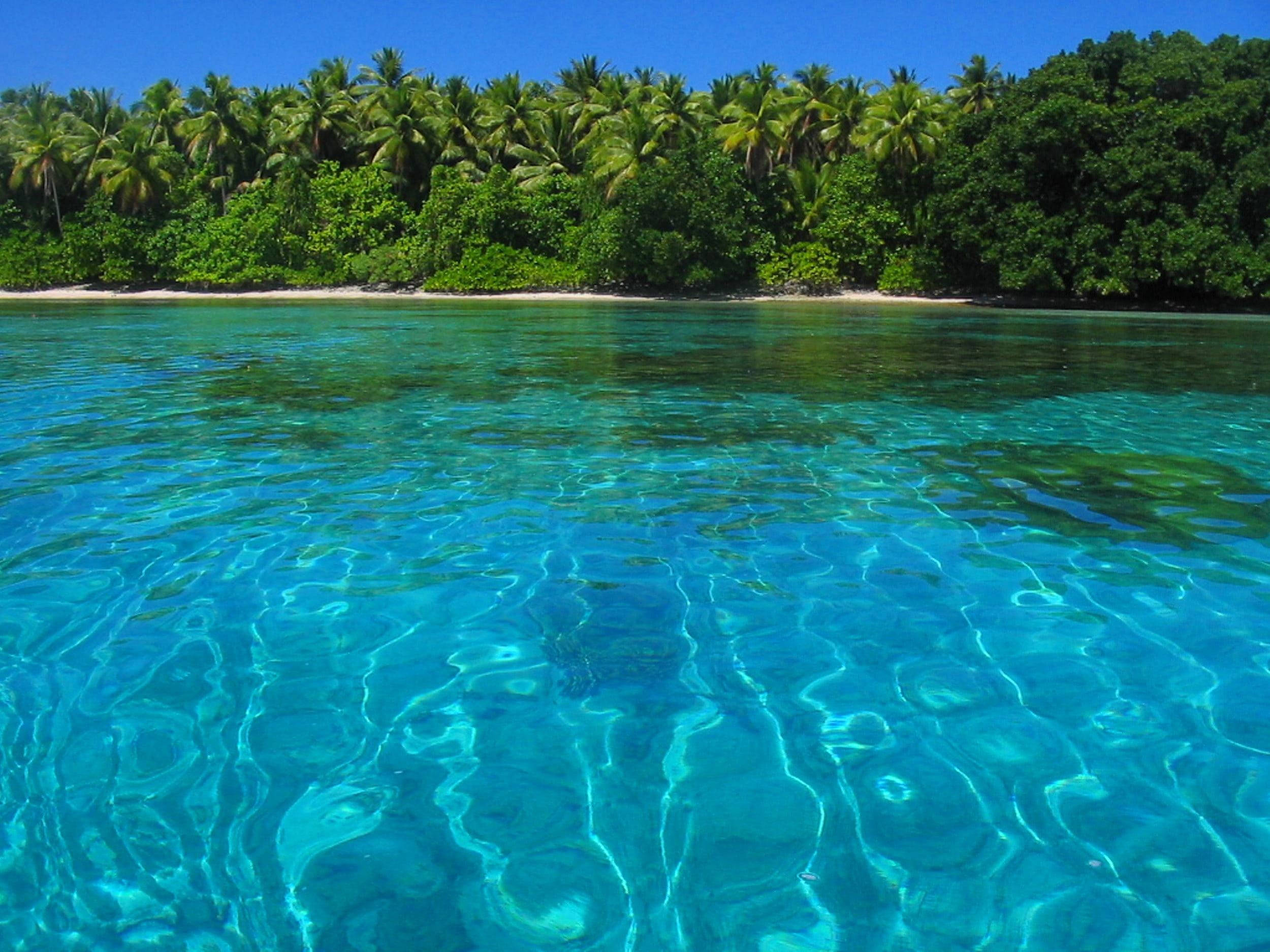 Marshall Islands, turquoise water, lush green palm-fringed shore, Full HD Desktop Wallpaper