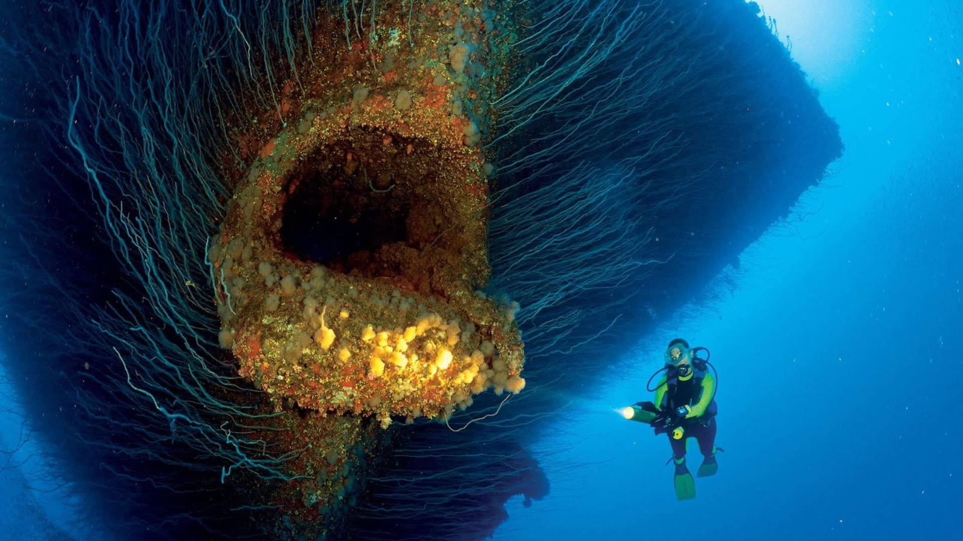 Marshall Islands, gigantic reef, diver, Full HD Desktop Wallpaper
