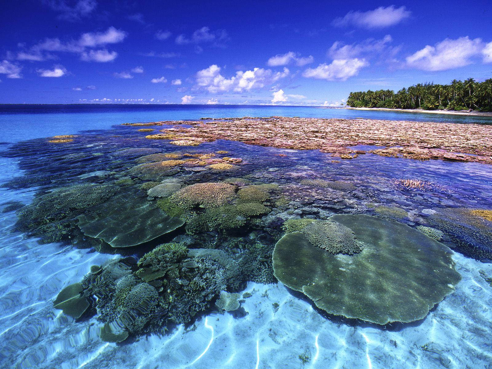 Marshall Islands, coral reefs, turquoise waters, HD Desktop Wallpaper