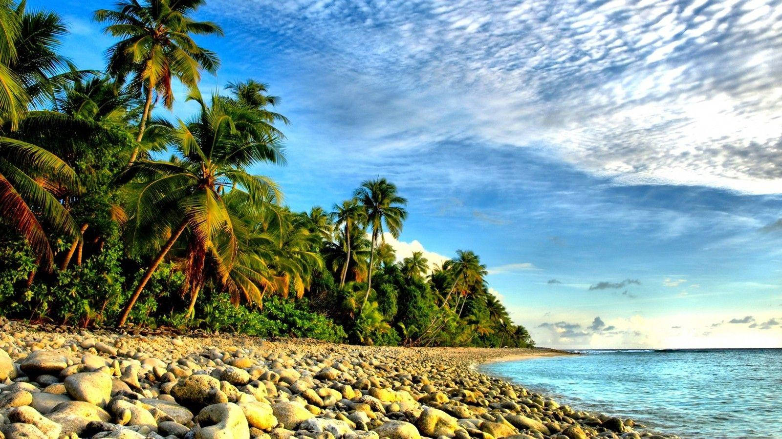 Marshall Islands, tropical beach, palm trees, HD Desktop Wallpaper