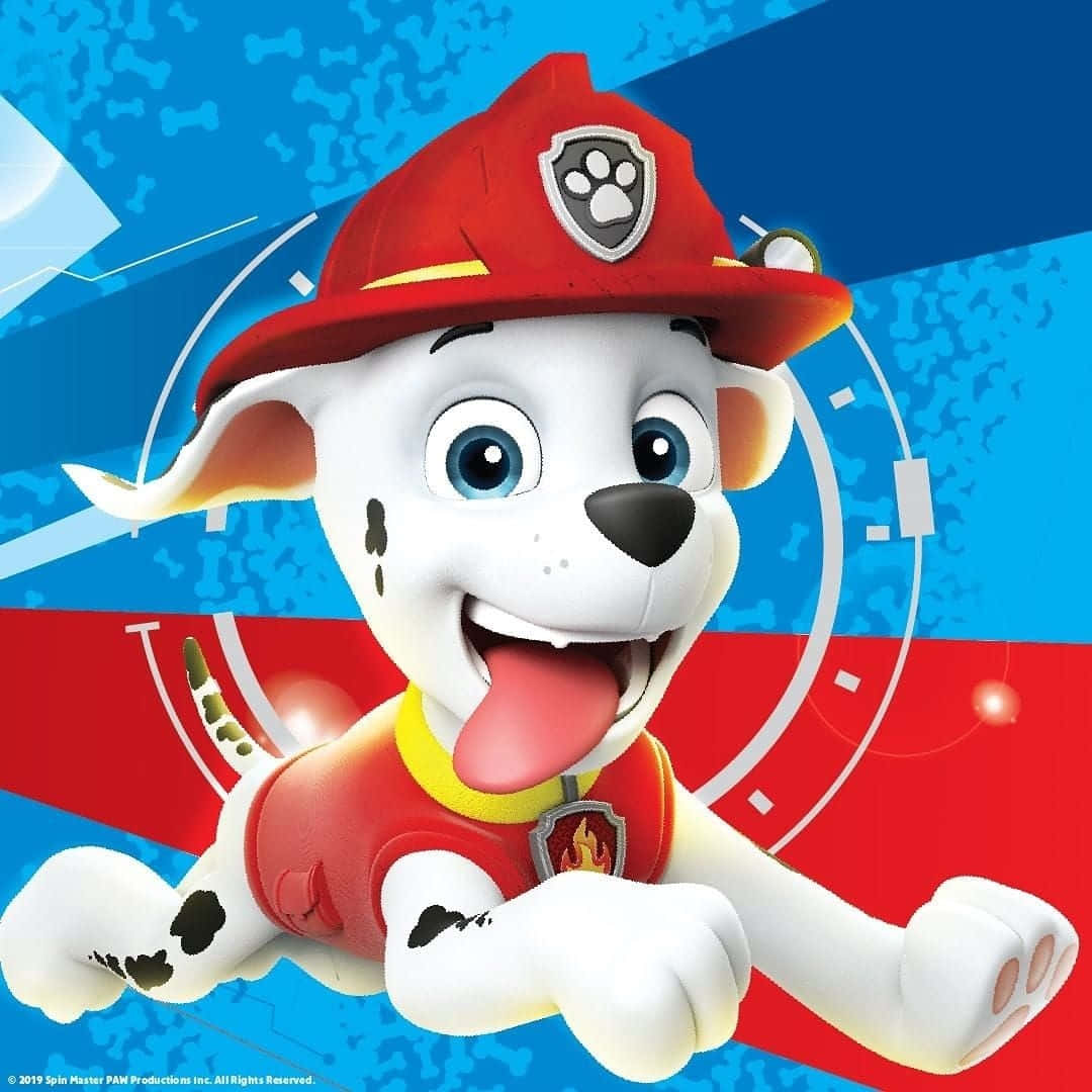 Marshall Paw Patrol, fire pup, black spots, SD Desktop Wallpaper