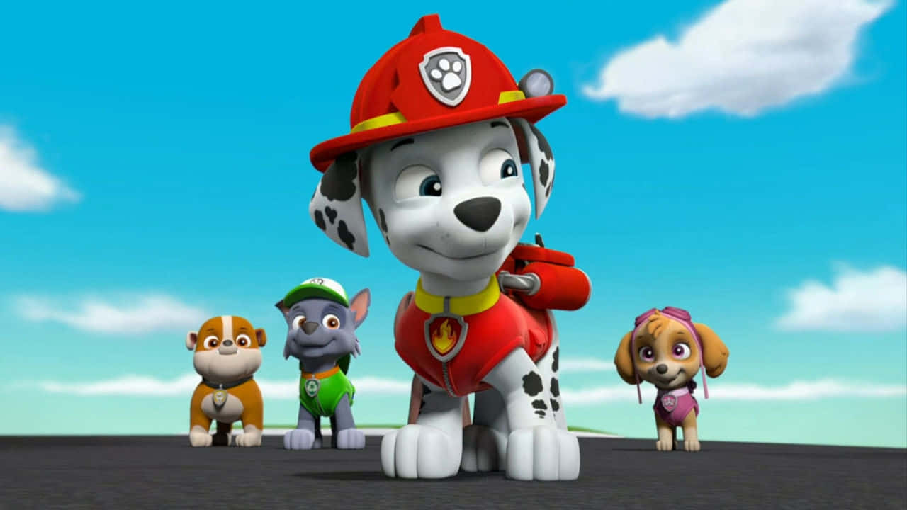 Marshall, Paw Patrol, animated rescue puppies, HD Desktop Wallpaper