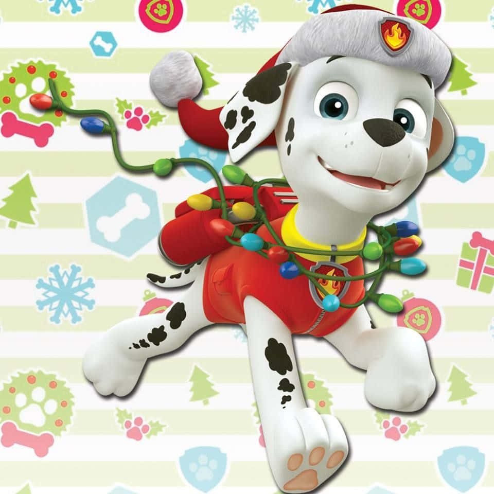 Marshall Paw Patrol, Dalmatian puppy, firefighter hat, SD Desktop Wallpaper
