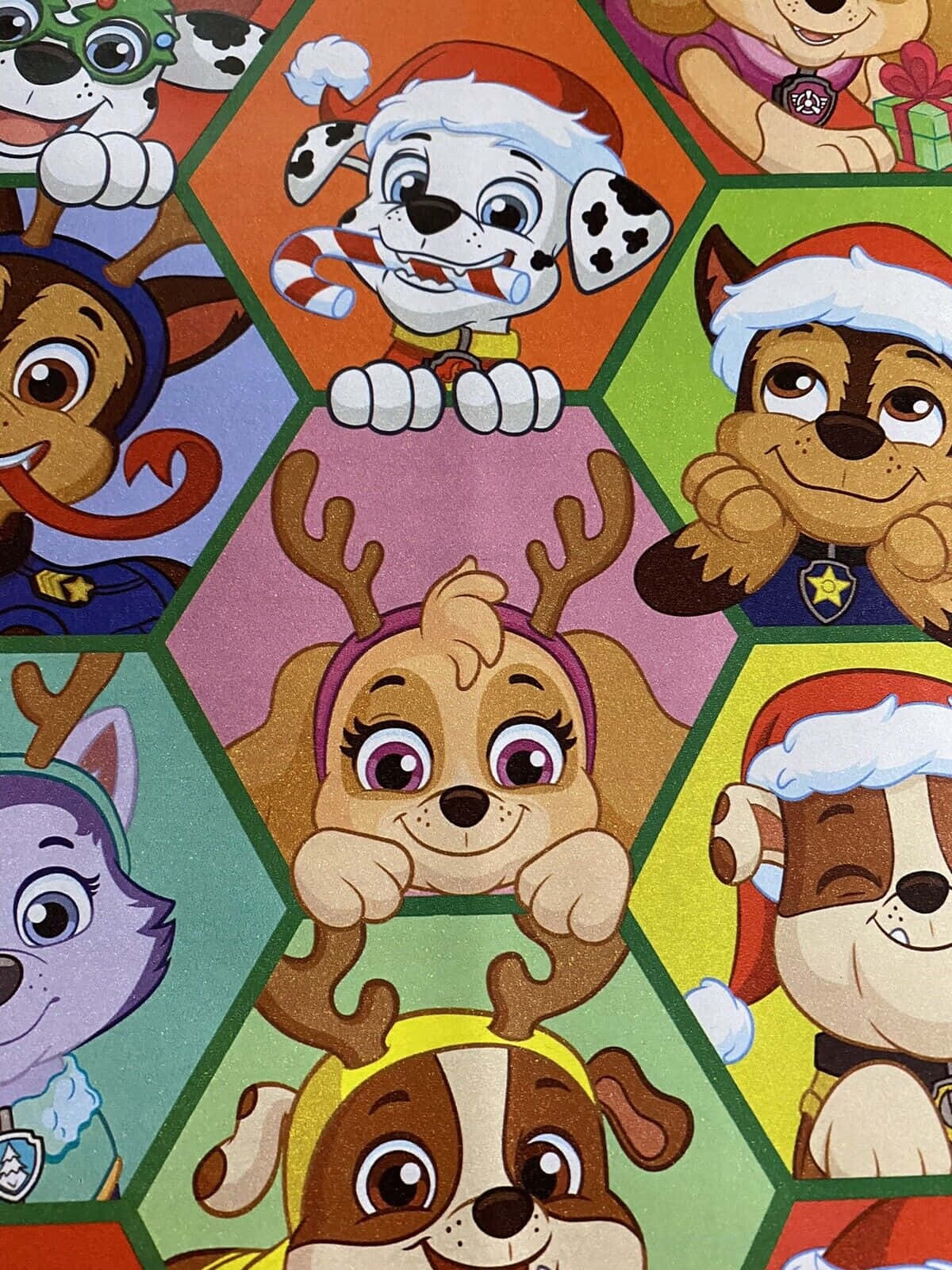 Paw Patrol, holiday themed, colorful cartoon puppies, HD Phone Wallpaper