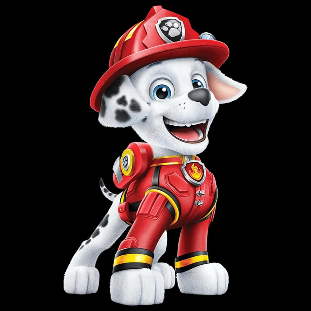 Marshall, Paw Patrol, fire pup, SD Desktop Wallpaper